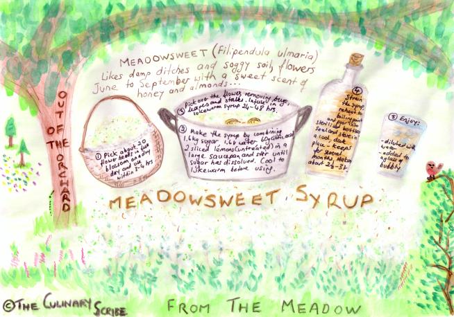 Meadowsweet Syrup